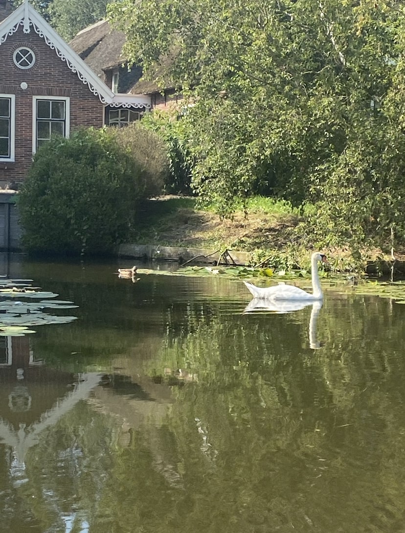 Omgeving 6 Omgeving Nieuwkoop 6