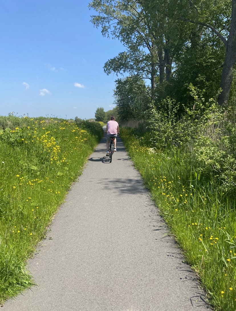 Omgeving 7 Omgeving Nieuwkoop 7